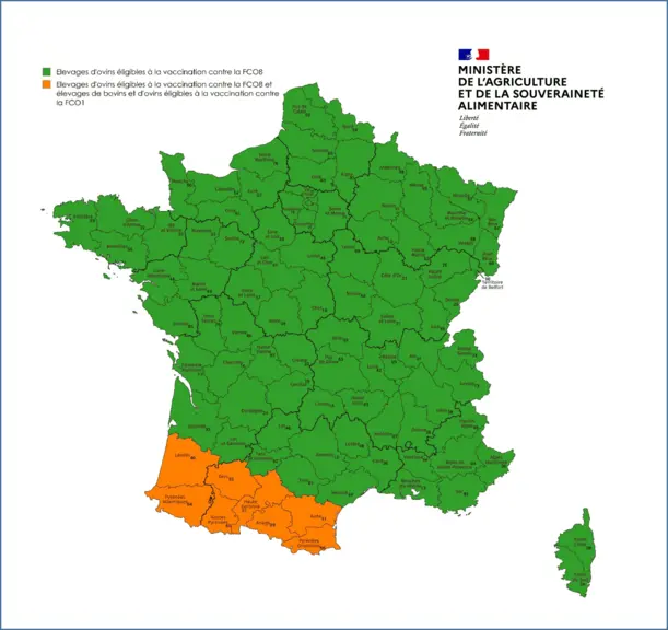 Carte de France de l'accès aux vaccins contre la FCO 1 et la FCO 8 par département, en fonction de la localisation de l'élevage et de son type de production