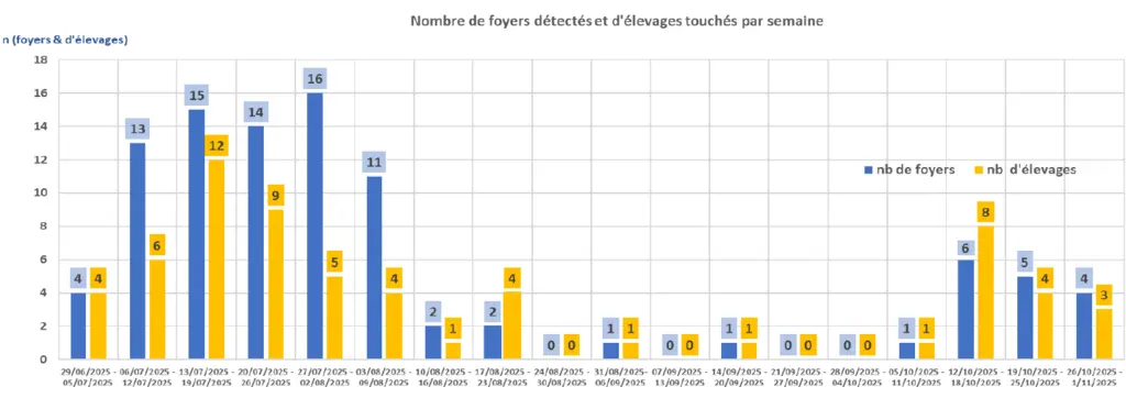 Evolution du nombre de foyers de DNC