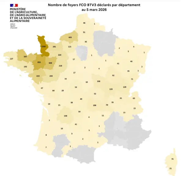 Carte des foyers de la FCO 3