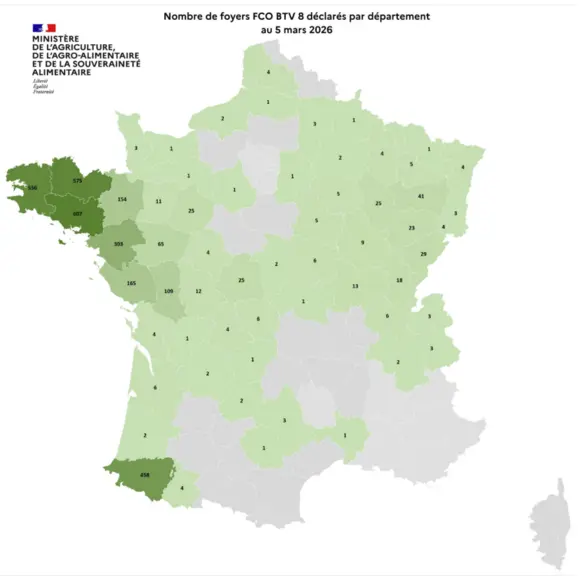 Carte des foyers de la FCO 8