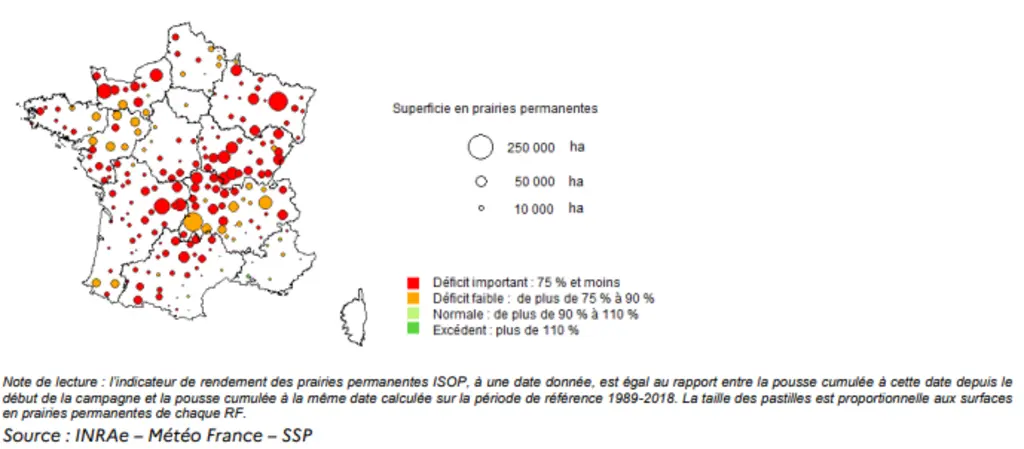 Indicateur de rendement des prairies permanentes par région fourragère au 10 août 2026