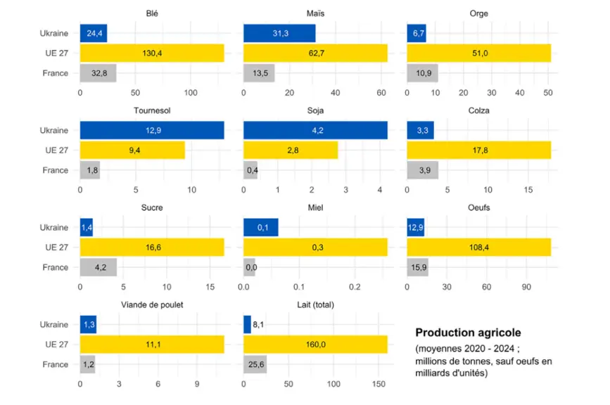 Graphiques de la production agricole de l’Ukraine (bleu), de l’UE (jaune) et de la France (gris) pour différents produits agricoles