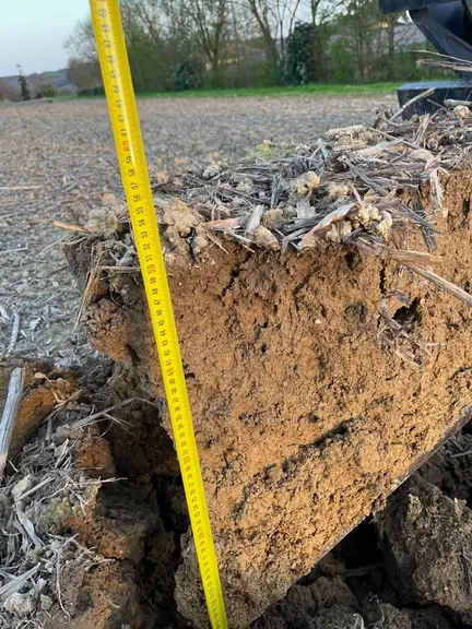 Profil de sol chez Guillaume Richard : des boulbènes profondes de 70 à 90 cm.