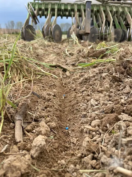 La possibilité de travailler sur une litière et non dans le sol permet à l’agriculteur de biner « à l’aveugle », malgré l’abse