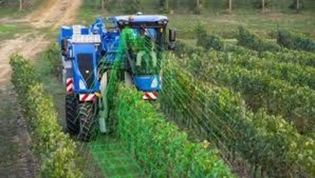 En plus d’une vision infrarouge, le système de guidage de New Holland intègre l’information des capteurs d’angle de la tête de récolte et de la direct