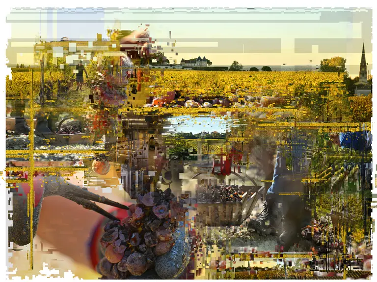 Avec Le Précieux, travail réalisé à partir de prises de vues lors des vendanges en Sauternais, Franck Boucher a voulu rendre hommage aux hommes qui pr