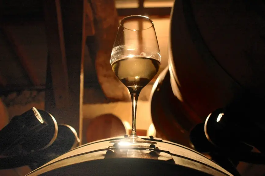 Par ses conséquences irréversibles, l'oxydation des vins blancs est un phénomène redouté. Bien que la recherche avance, une grande part de mystère ent