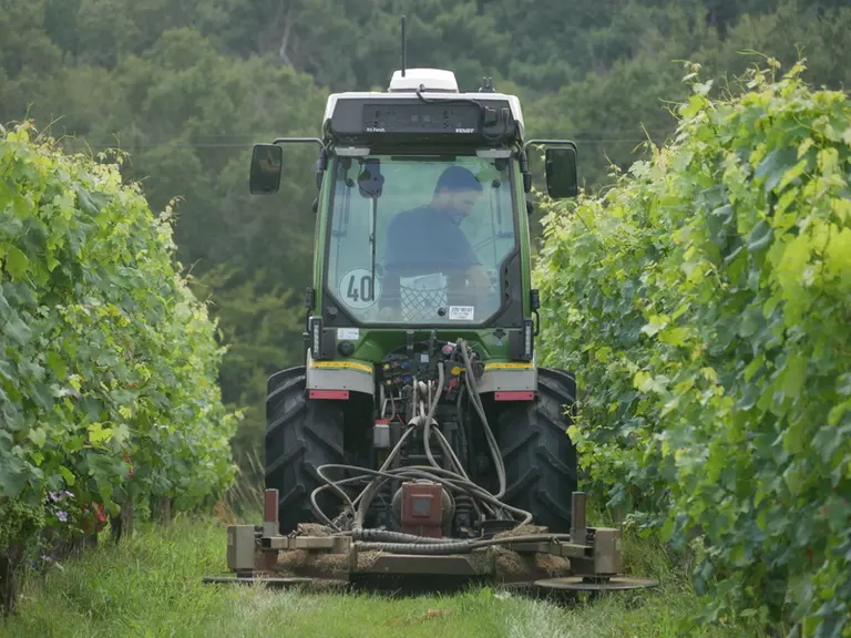 Jérôme Zaros a bien apprécié le séquençage de bout de rang. À la tonte, le tracteur affiche une consommation raisonnable de 4,3 l/h