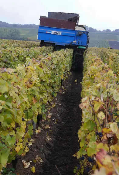 L'épandage de matière organique est l'action ayant le plus fort impact sur le stockage du carbone en viticulture.