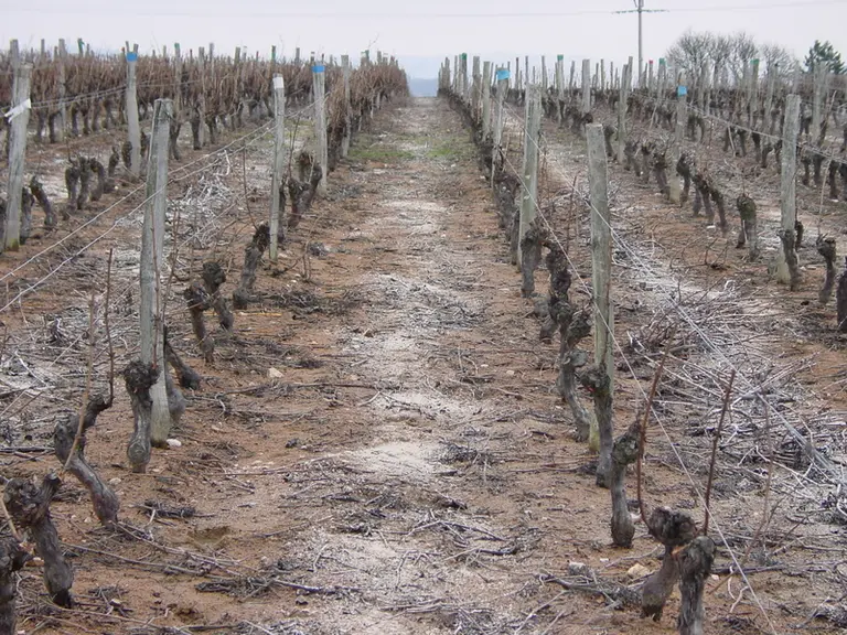 Les apports sont à réaliser en hiver et surtout avant l’apport de matière organique.