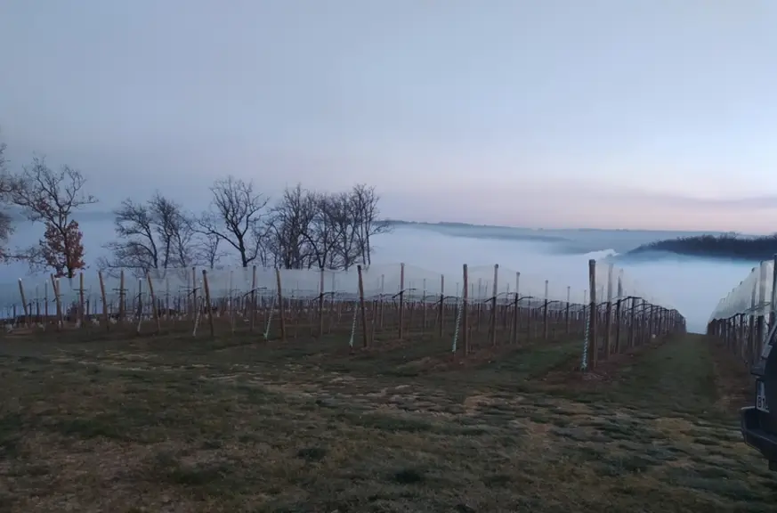 Former un brouillard suffisamment épais pour protéger des premiers rayons du soleil est techniquement assez pointu.