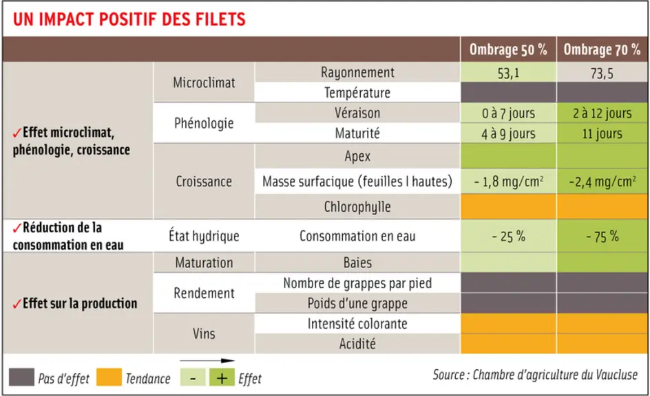 Des pistes émergent pour lutter contre la sécheresse en viticulture