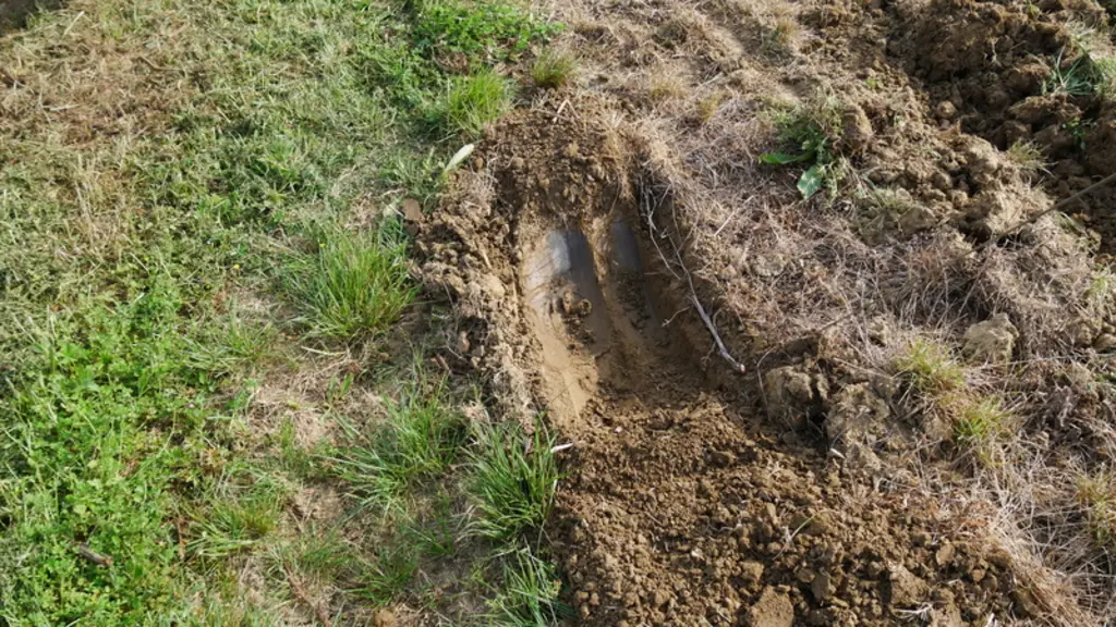 Selon la nature des sols et les vitesses d'avancement, un léger lissage peut être généré.