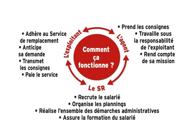 Faire appel à un Service de remplacement en viticulture