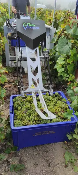 Sur la version plus large, des pinces montées sur des chaînes agrippent les caisses et les soulèvent. 