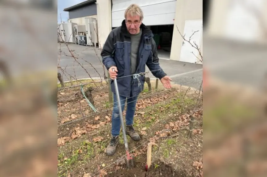 Christophe Lardière, responsable des propriétés de Jean-Luc Thunevin, à Saint-Émilion, en Gironde, a confectionné une petite fourche pour planter ses