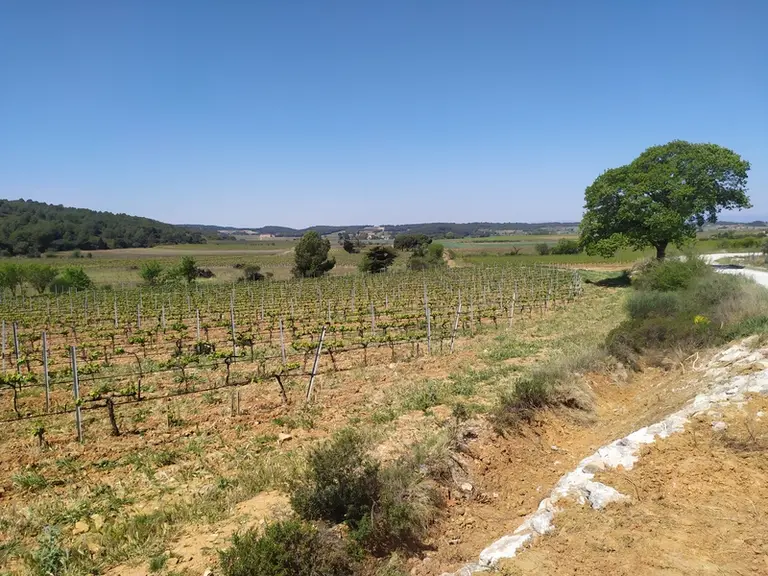 Pour calculer le montant de l'indemnité à verser par les co-indivisaires à un indivisaire ayant réalisé des travaux relatifs au bien indivis, il importe de bien distinguer les dépenses de conservation de celles d'amélioration.