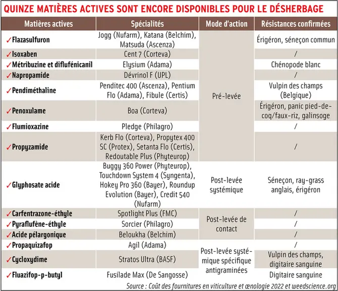 En désherbage chimique, chercher les complémentarités entre molécules et techniques