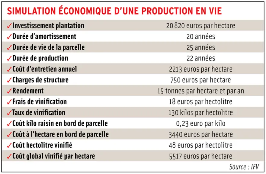 Rentabiliser sa production de vin de France