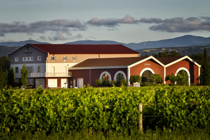 Depuis 2018, la coopérative de Clairmont, en AOP crozes-hermitage, coconstruit sa stratégie en pratiquant l'intelligence collective. Le lancement de cuvées parcellaires ou ...