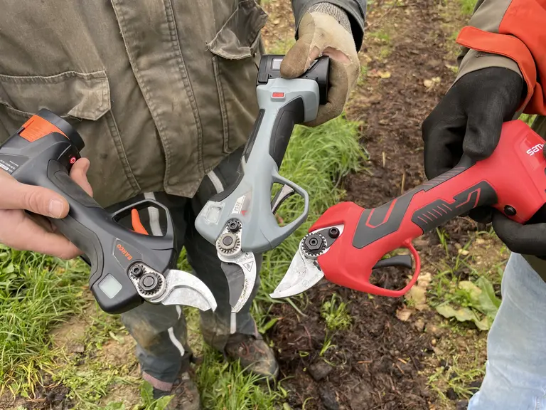 Les sécateurs électriques sans fil permettent de tailler la vigne sans contrainte du fil.