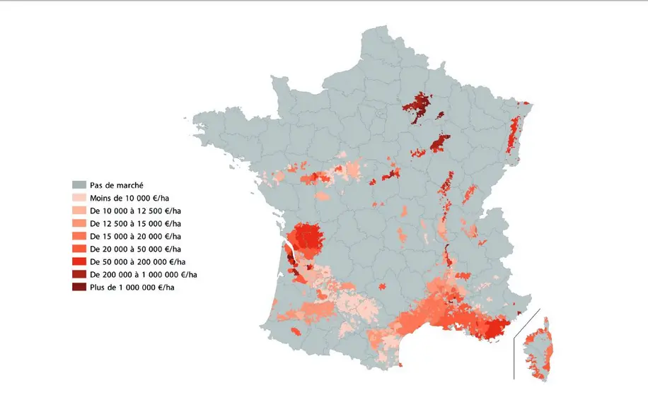 Prix des vignes par appellation en 2022