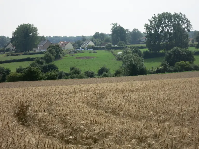 parcelle de blé et maisons neuves. habitat en zone rurale. développement des territoires ruraux. cultures et prairies dans la Somme. foncier. terre agricole et terrains ...