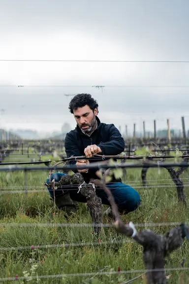 « Une analyse de sol viticole simple et visuelle »