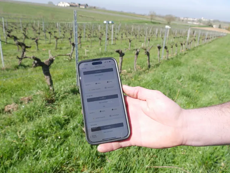 Application. Smartphone. Audit. Pliage.