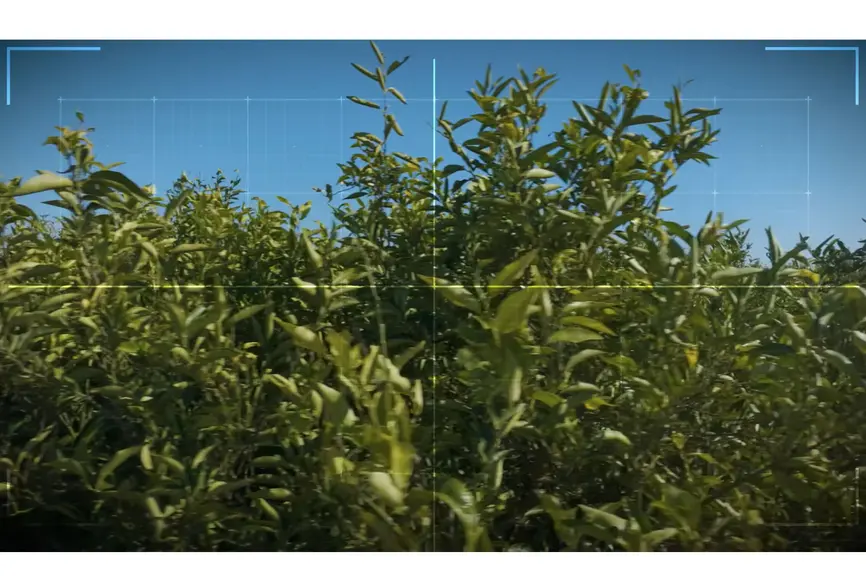 Sur le pulvé autonome Kfast, les images sont traitées pour n'appliquer du produit qu'en présence de culture en face.