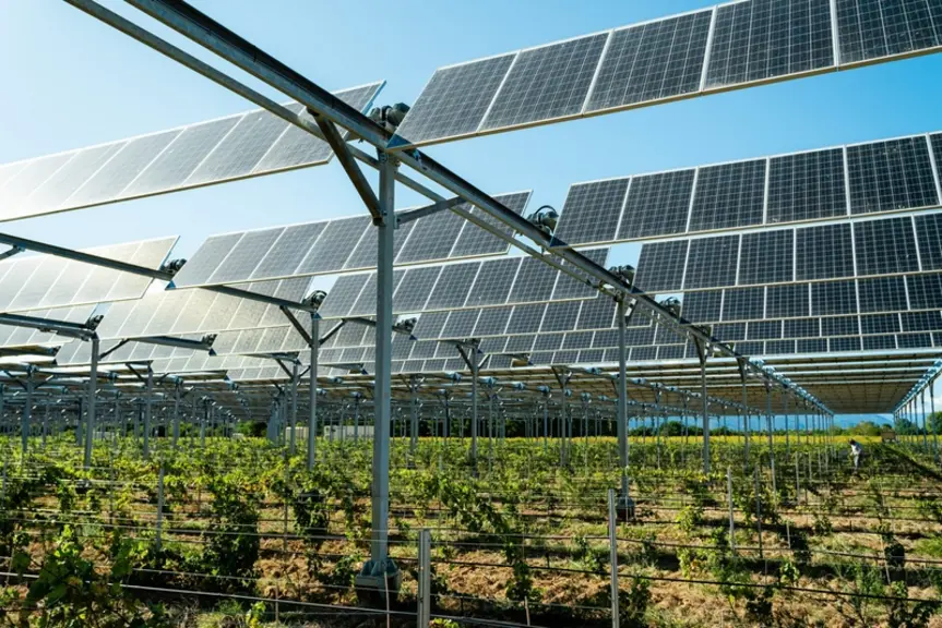 En agrivoltaïsme, le pilotage des panneaux est avant tout au service de la physiologie de la culture.