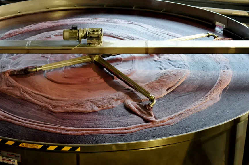 Elaboration des vins de Bordeaux. Clarification du vin . Vinification en rouge dans le Bordelais. Flottateur plein . Flottation . Elimination des part