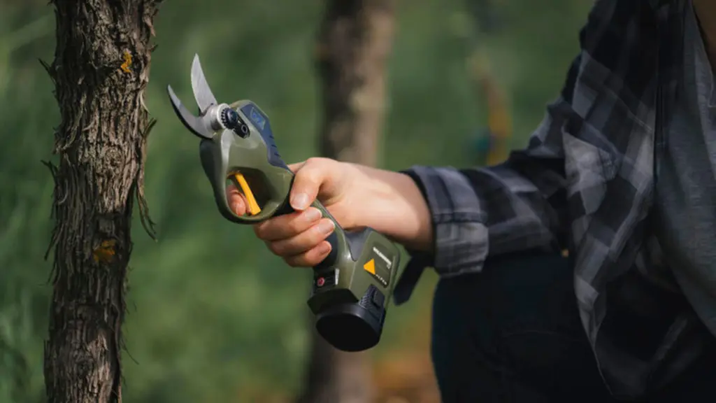 Sécateur électrique intégré Alpen Swiss Tool Wildhorn 32