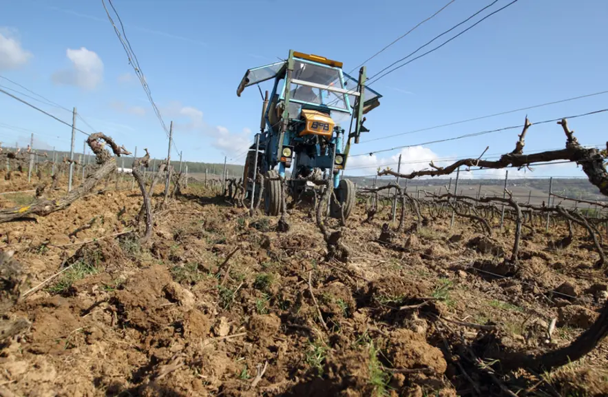 Viticulture. Travail du sol dans le vignoble champenois. labour d'une parcelle de vigne dans la Marne. outil monté sur un