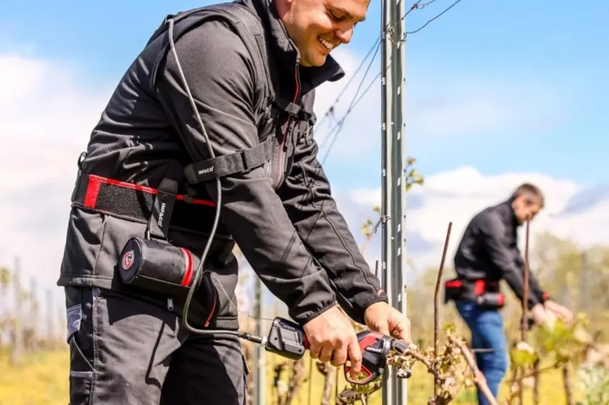 Attacheur filaire Infaco AT1000 à la vigne