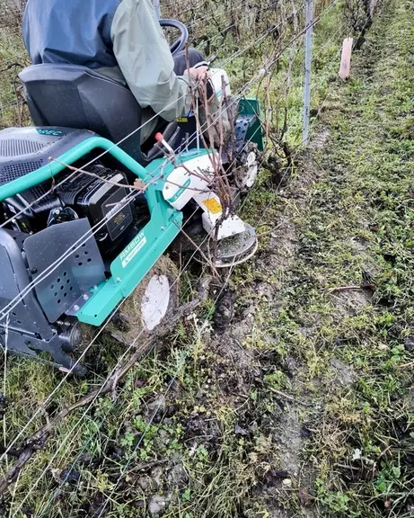 Tondeuse autoportée Orec Rabbit RM60W dans les vignes