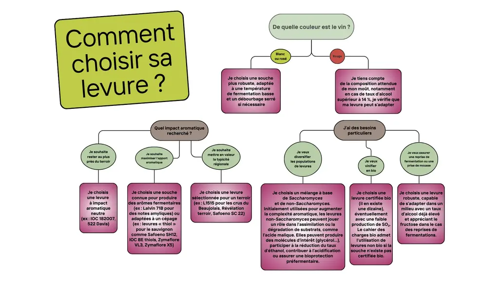 GRAPHIQUE sur le choix de la levure de vinification en fonction du vin