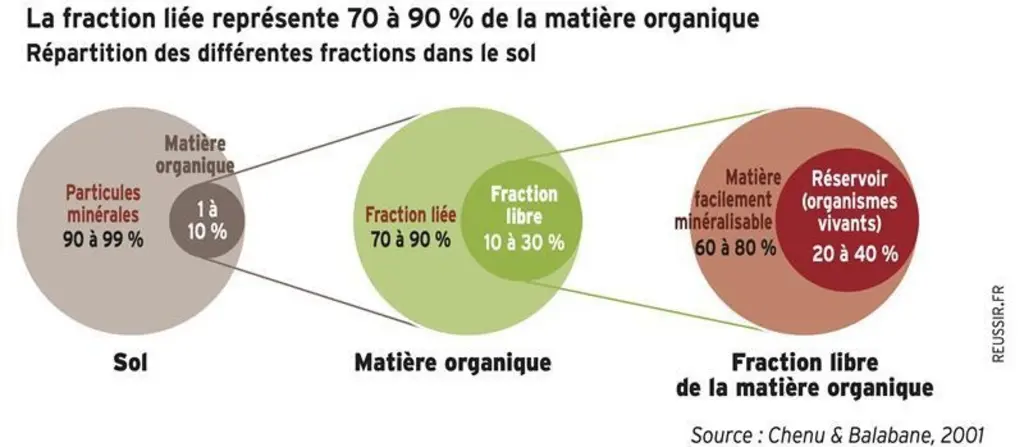 <em class="placeholder">schéma sur le fractionnement de la matière organique du sol</em>