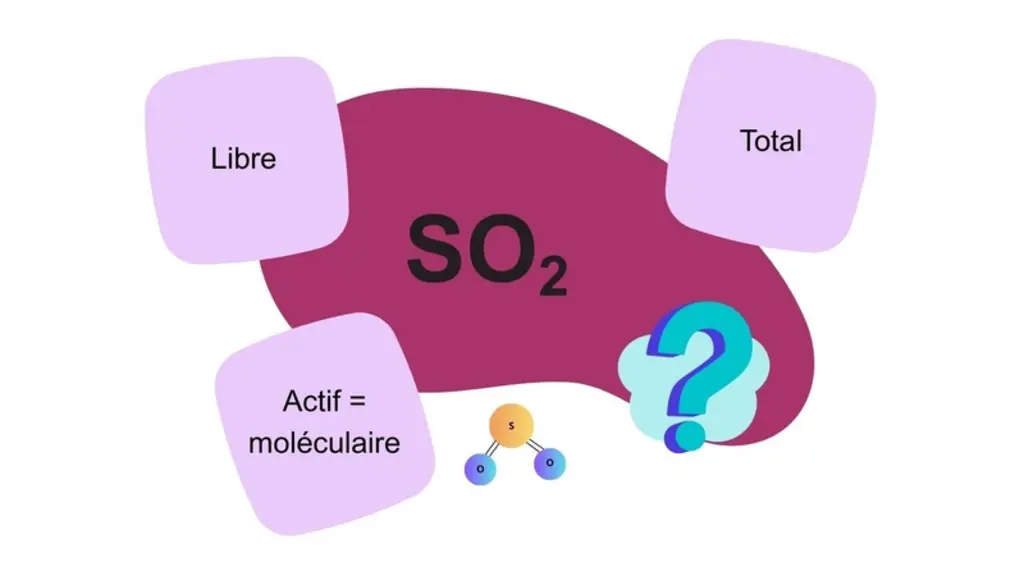 schéma : quel SO2 choisir
