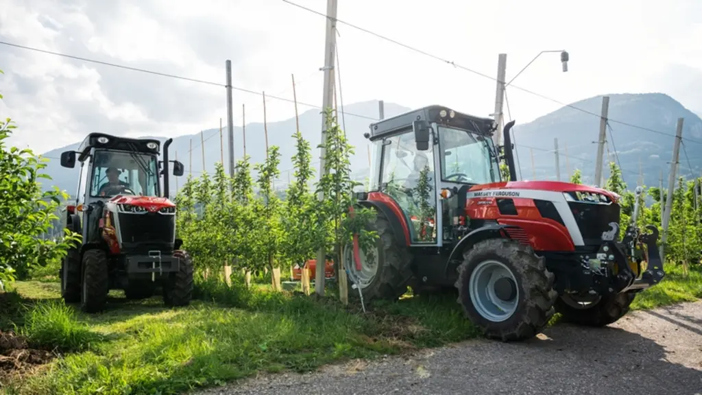 Tracteur spécialisé Massey Ferguson MF 3 dans un verger