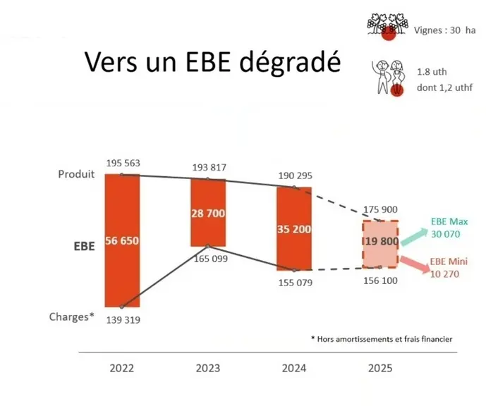 EBE viticole en Occitanie