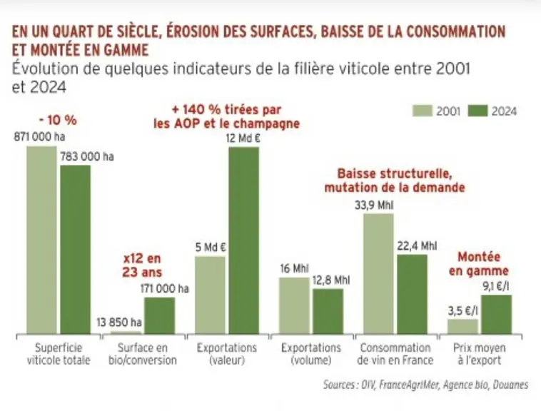 évolution de la surface en vigne, des exportations, de la consommation de vin en France