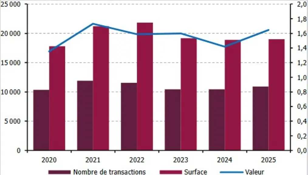 Evolution des transactions de vignes hexagonales en 2025 par rapport à 2024