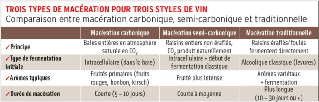 <em class="placeholder">Comparaison entre macération carbonique, semi-carbonique et traditionnelle</em>