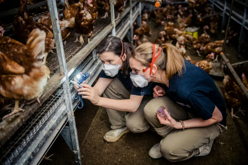 Experimental Poultry Centre – Province of Antwerp, Belgium