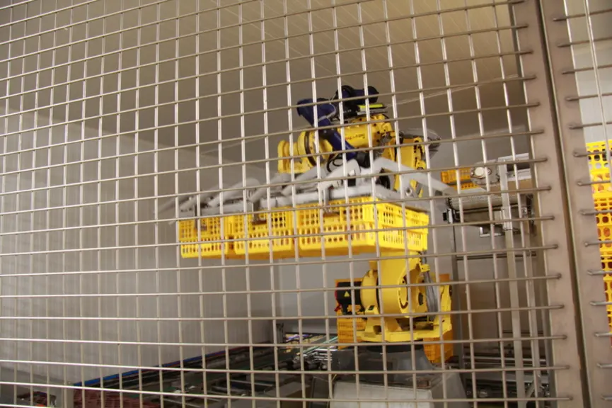 Le robot de dépilage des carcasses ressuées en caisses. Il rempile ensuite les caisses vides.   © L. Gouverne