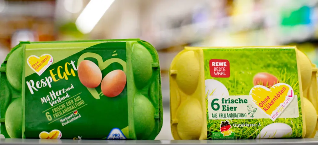En Allemagne les œufs Respeggt issus de poules dont les frères ne sont pas nés (ohne kukentöten) ont vocation à créer un nouveau segment de marché. ©
