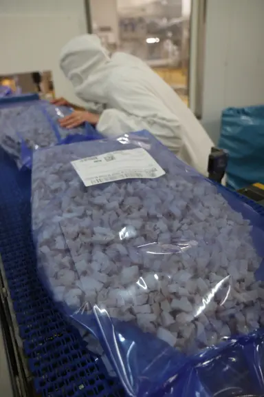 Le produit final frais ou congelé est conditionné en sachet, sac ou même pal box. © P. Le Douarin
