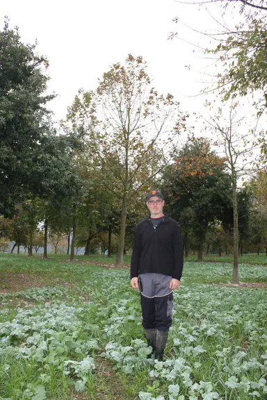 Entre chaque bande de canards, Christophe Tauziet sème mécaniquement un mélange de couverts végétaux de saison entre chênes américains, tilleuls et au