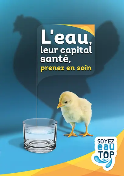 Une campagne d'affichage sur l'importance de la qualité de l'eau est déployée depuis janvier.  © Itavi